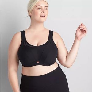 Lane Bryant High Impact Sports Bra